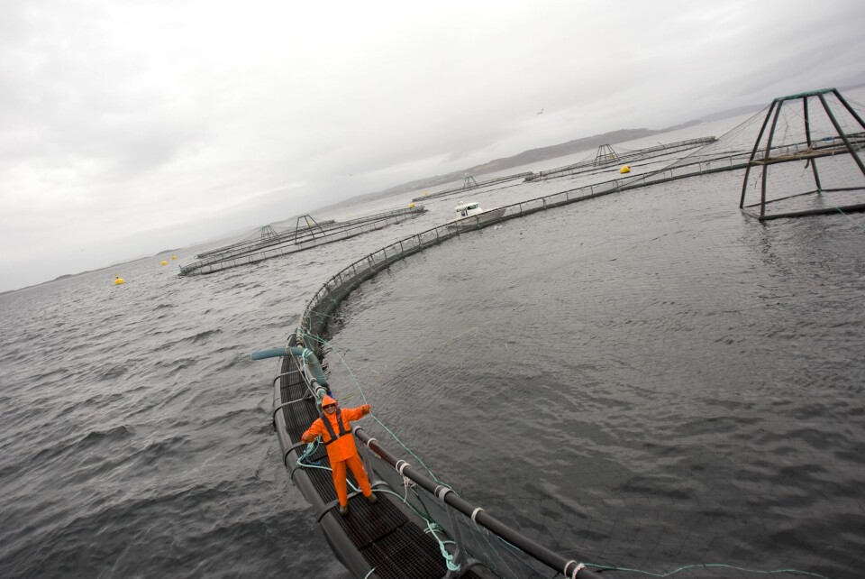 En av Grieg Seafood sine lokaliteter. Foto: Grieg Seafood.