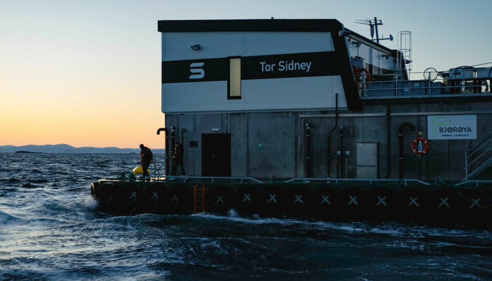 «Tor Sidney» er Bjørøya sin nyeste fôrflåte. En Nova Concrete 500t LQ med innovativ fôringsteknologi.