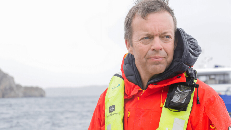 Alf Helge Aarskog går inn styret til innsektprotein-produsenten InnovaFeed. Foto: Mowi Alf Helge Aarskog går inn styret til innsektprotein-produsenten InnovaFeed. Foto: Mowi