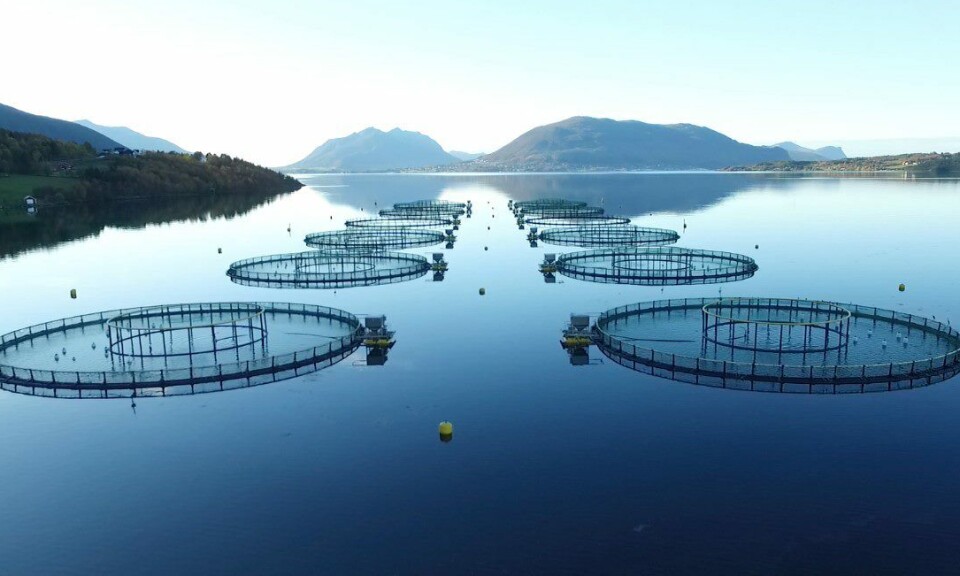 Thomas Scheele Berg starter i Nordic Halibut som CFO 1. august 2024. En av Nordic Halibut sine lokaliteter på nordmøre.