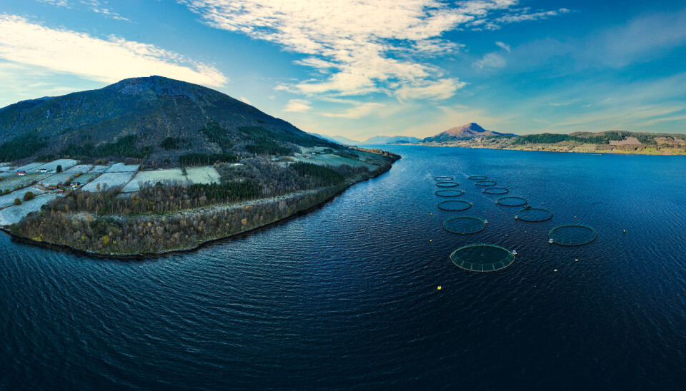 En av Nordic Halibut sine lokaliteter på Nordmøre.