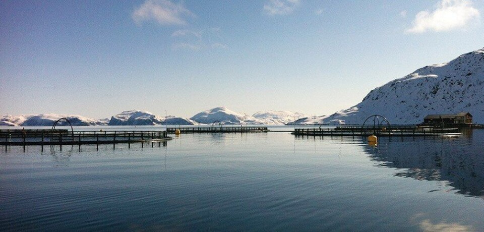 Illustrasjonsfoto: Oppdrettsanlegg i Nord-Norge. Foto: Cermaq.
