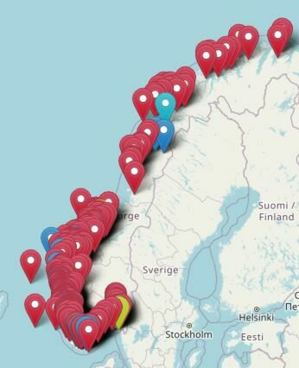 Registreringer fra «dugnad for havet» i perioden 28. oktober til 27. november gjenspeiler den høye forekomsten av perlesnormanet som Åkerblå har observert i felt.