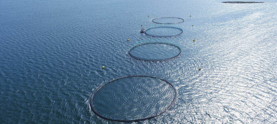 Kritisk til avvikling av visningstillatelser