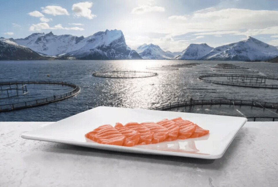 Illustrasjonsfoto: Norsk Laks. Foto: Norges Sjømatråd.