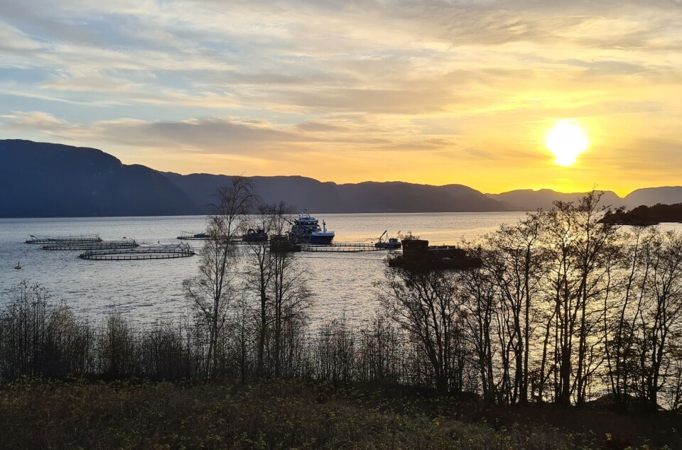 Probiotisk forebygging er lønnsomt
