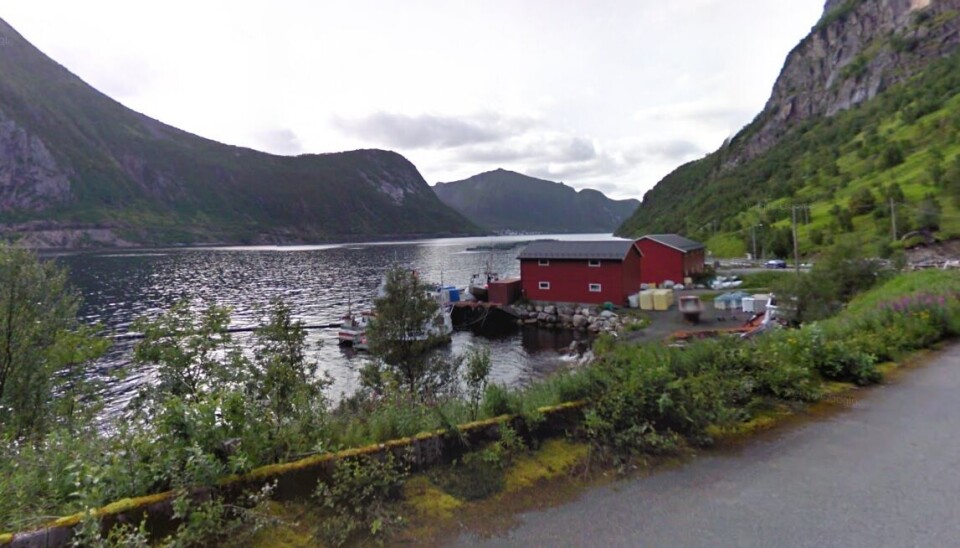 Lokalitet Ørnfjordbotn.