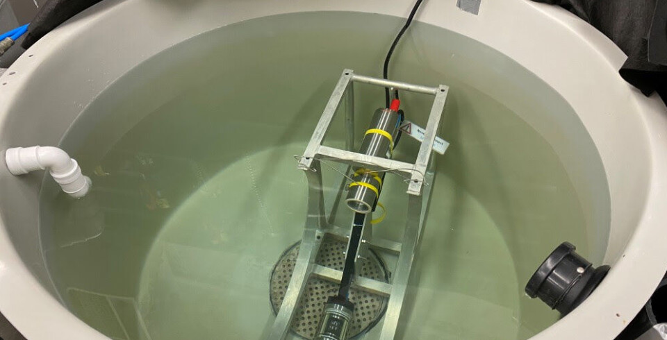 Oppsett med UVP6 sensoren i test-tanken