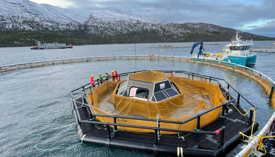 Tredje generasjons iFarm på Cermaqs lokalitet Hellarvika i Steigen.