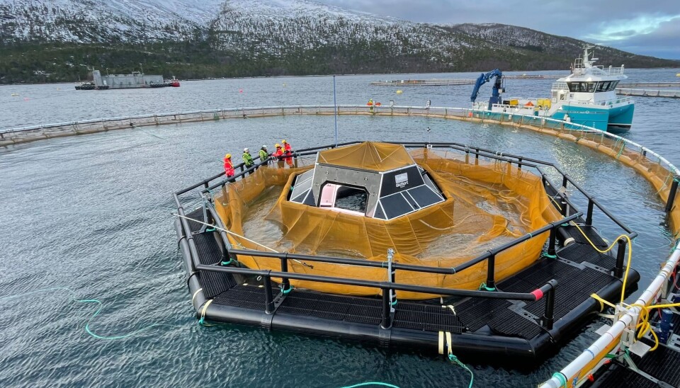 Tredje generasjons iFarm på Cermaqs lokalitet Hellarvika i Steigen.