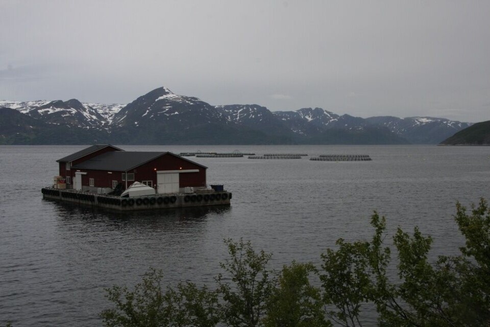 Arkivfoto av oppdrettsanlegg i Lerresfjord i Alta. Arkivfoto av oppdrettsanlegg i Lerresfjord i Alta.