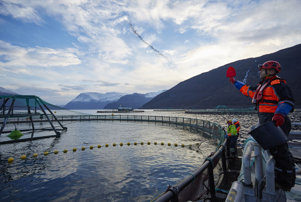 Veterinærinstituttet oppgir at 2,1 % av lokalitetene som produserer laks eller regnbueørret benyttet seg av antibiotika i 2024.