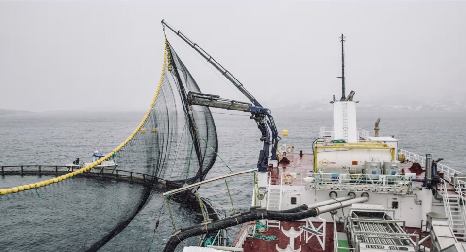 I brønnbåtveilederen kan man finne anbefalinger for håndtering av risiko som kan påvirke fiskevelferd ved transport og behandling av laks i brønnbåt.