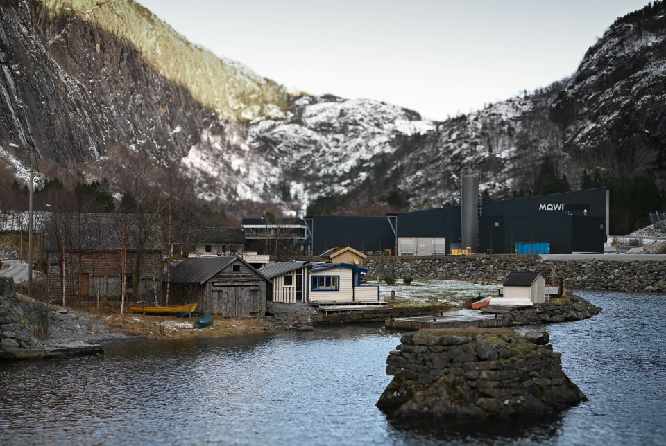 Både flere og større smolt skal sørge for at Mowi når sine mål om vekst. Bildet viser settefisk- og postsmoltanlegget Fjæra i Etne kommune i Sunnhordland.