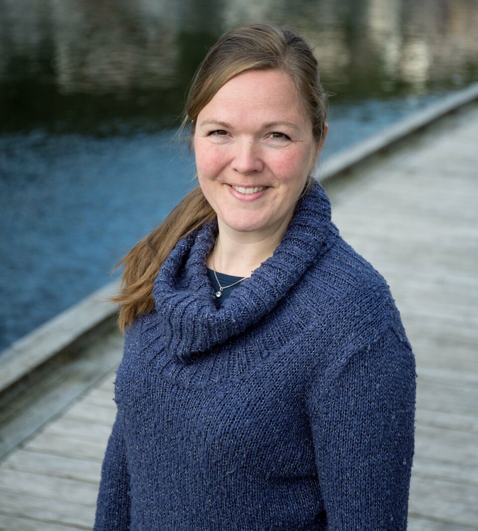 Aina-Cathrine Øvergård på Universitetet i Bergen undersøker proteinene i lakselusspyttet.