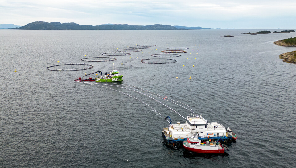 I denne utgaven av Norsk Fiskeoppdrett snakker SinkabergHansen om hvordan deres nedsenkbare løsninger har gjort at fisken får stå mer eller mindre uten håndtering og uten å bli eksponert for lus.