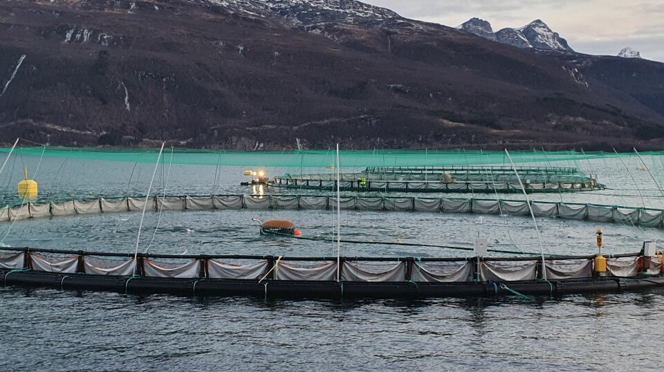 Samdriften Northern Lights Salmon og Sørrollnesfisk lanserte i november 2022 sammen med Egersund Net og Framo, OptiCage, som da var et nytt merdkonsept mot lakselus.