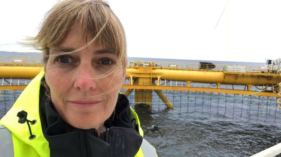 Marianne Halse har tiltrådt som nytt styremedlem i Steen-Hansen Group.