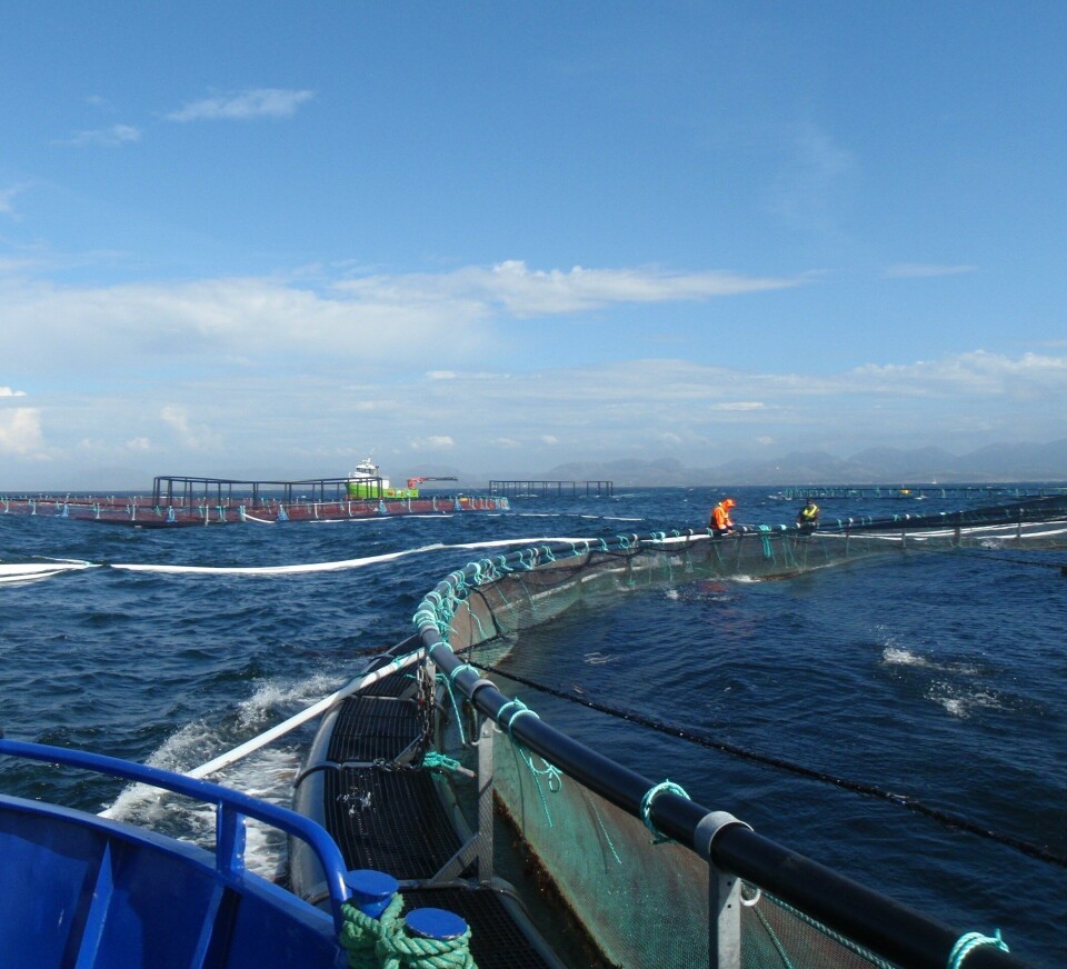 Mange oppdrettere føler produksjonplanen ofte settes forran sikkerhet. Foto: SINTEF.