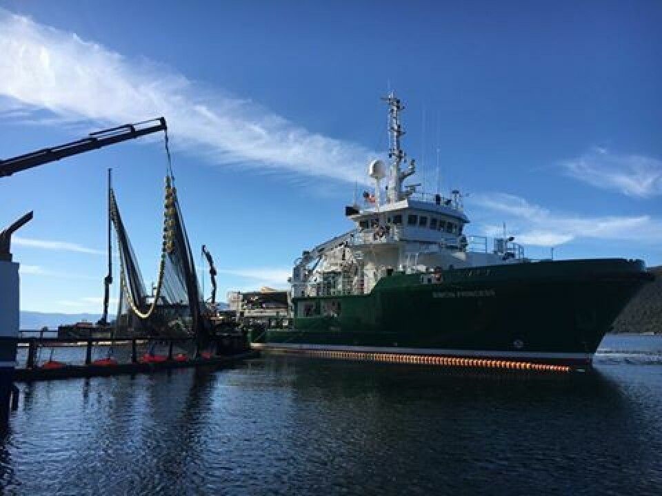 Det blir stadig mer ikke-medikamentell avlusning, der varmtvann dominerer. Grieg Seafood Finnmark er en av dem som satser på Thermolicer under sine avlusinger i kampen mot lusen. Arkivfoto: GSF. Det blir stadig mer ikke-medikamentell avlusning, der varmtvann dominerer. Grieg Seafood Finnmark er en av dem som satser på Thermolicer under sine avlusinger i kampen mot lusen. Arkivfoto: GSF.