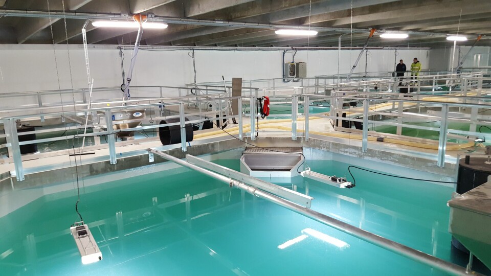 Et av RAS-anleggene levert av Krüger Kaldnes. Selskapet skriver at de største tapene i 2020 skriver seg fra akvakultursegmentet. Foto: Krüger Kaldnes