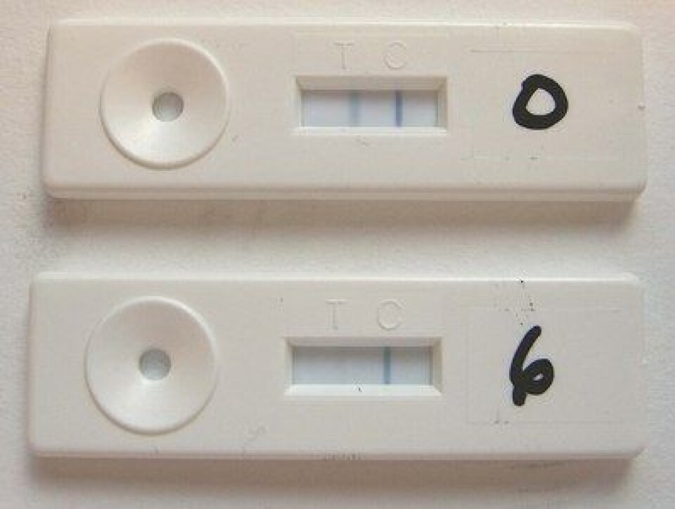 Dipstick test for testing av algegifter (Rettighetshaver: Biosense)