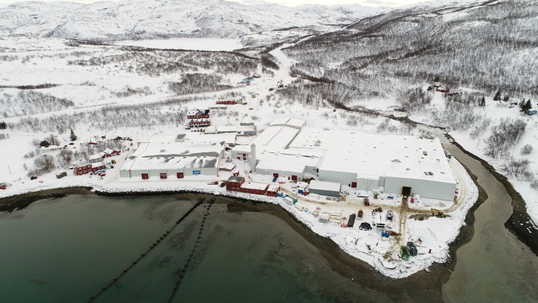 Settefiskselskapet Laksefjord produserer både smolt og postsmolt, og har investert mye i RAS-teknologi de siste årene. Foto: Laksefjord AS