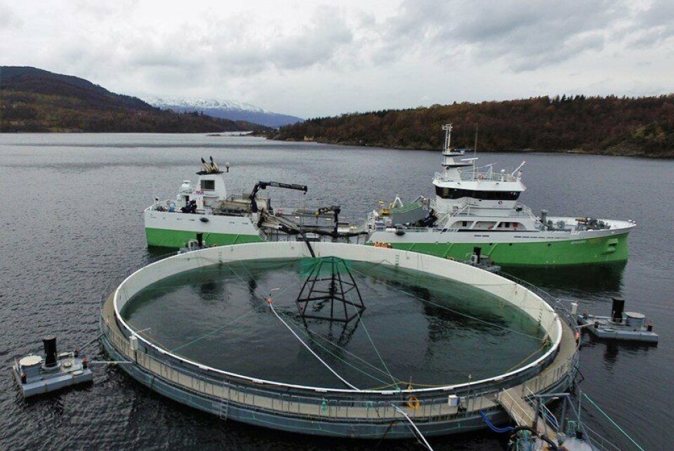 Neptun 3 versjonen ligger på lokaliteten Molnes ved Skånevik. Foto: Marine Harvest. Neptun 3 versjonen ligger på lokaliteten Molnes ved Skånevik. Foto: Marine Harvest.
