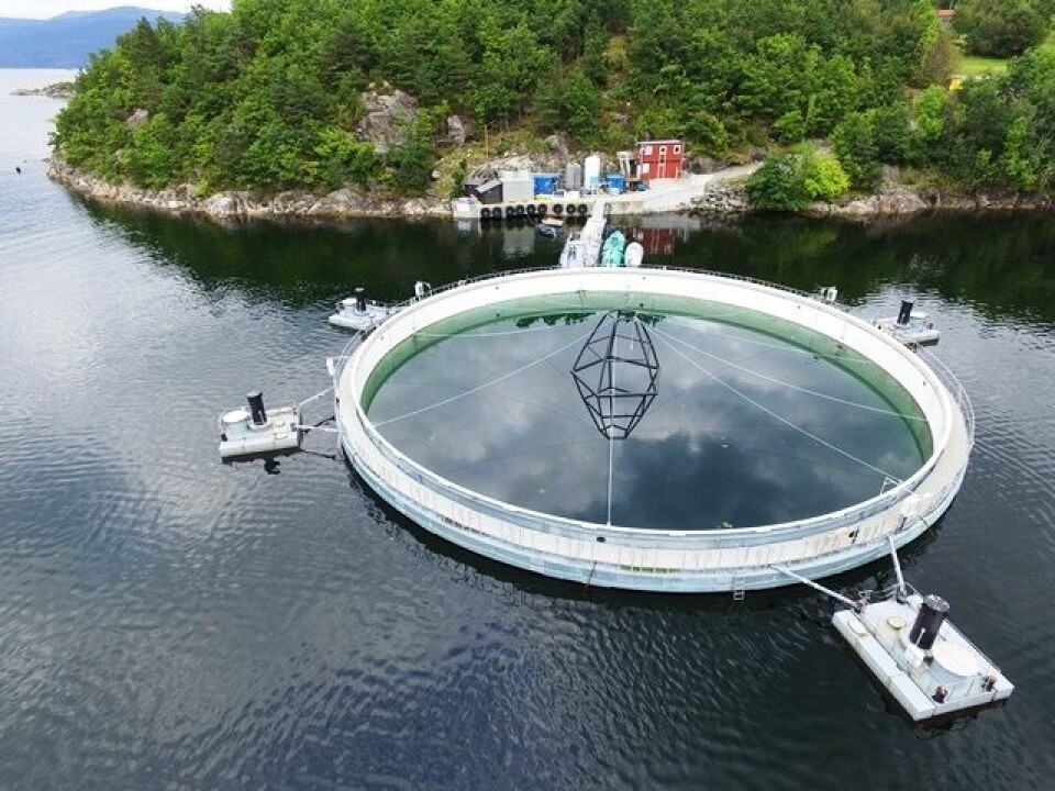 Neptun 3 versjonen ligger i Skånevik, hvor Marine Harvest har testproduksjon. Foto: Marine Harvest