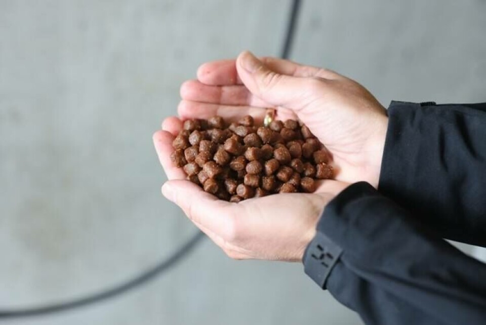 SeaFurther skal alene bidra til å redusere utslipp på to milliarder kilo CO2 innen 2030, noe som tilsvarer å fjerne mer enn 400 000 biler fra veiene. Foto: Cargill.