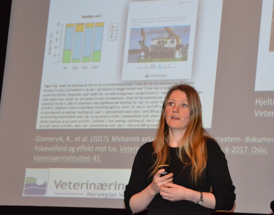 Stine Gismervik fra Veterinærinstituttet. Foto: Linn Therese Skår Hosteland. Stine Gismervik fra Veterinærinstituttet. Foto: Linn Therese Skår Hosteland.
