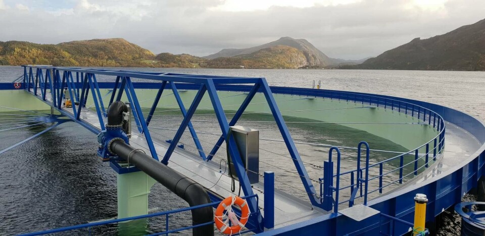 Det svømmer nå laks i utviklingskonseptet «Aquatraz» som er plassert i rammefortøyning sammen med ordinære merder på MNH-lokaliteten. Foto: Midt-Norsk Havbruk.
