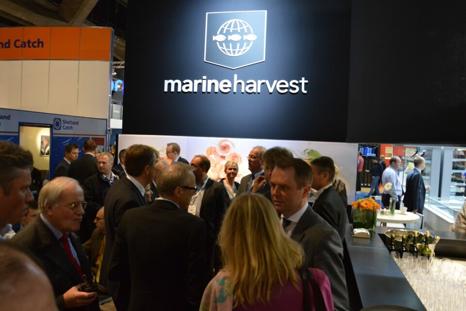 Marine Harvest, Brussel
