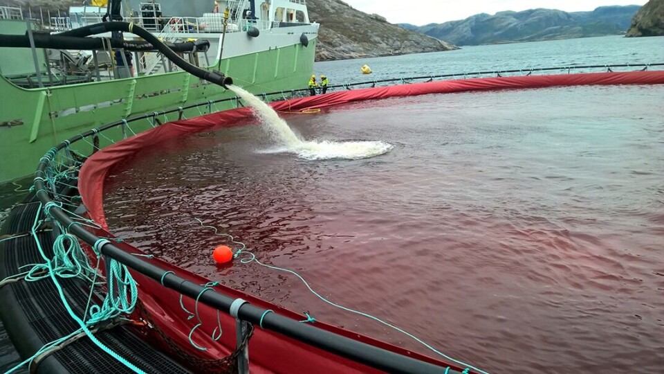 Rantex Marine produserer transportposer/ferskvannsbasseng, samt løsninger for transport, oppsamling og badebehandling med ferskvann. Foto: Rantex Marine AS: