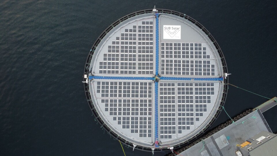 Inseanergy og Hofseth har sidan 2020 vore i gang med å teste flytande solcelleteknologi med gjenbruk av flyteringar ifrå utrangerte oppdrettsmerder ved Hofseth Aqua sitt oppdrettsanlegg ved Opshaugvik i Stranda kommune. Foto: Inseanergy Inseanergy og Hofseth har sidan 2020 vore i gang med å teste flytande solcelleteknologi med gjenbruk av flyteringar ifrå utrangerte oppdrettsmerder ved Hofseth Aqua sitt oppdrettsanlegg ved Opshaugvik i Stranda kommune. Foto: Inseanergy