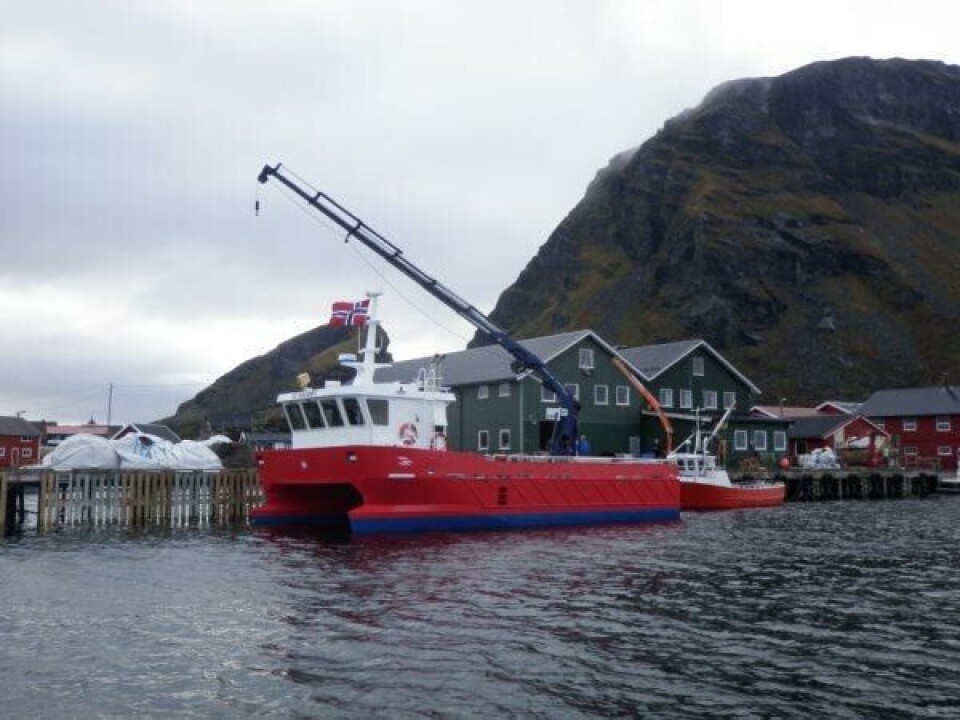 Arbeidsbåt til kai ved et av Lovundlaks sine anlegg. Foto: Lovundlaks.