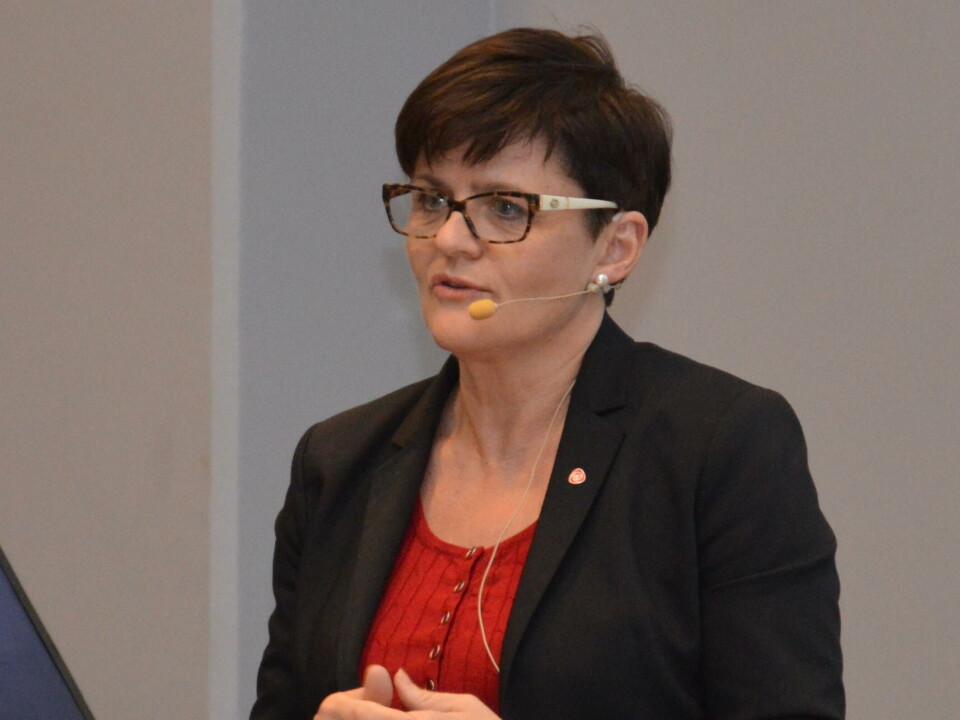 Lisbeth Berg-Hansen. Foto: Arkiv.