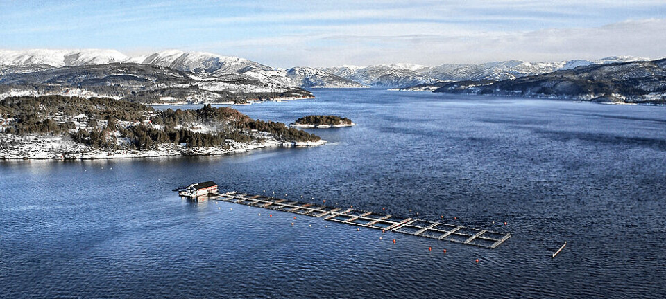Eide Fjordbruk lokalitet. Foto: Eide Fjordbruk. Eide Fjordbruk lokalitet. Foto: Eide Fjordbruk.