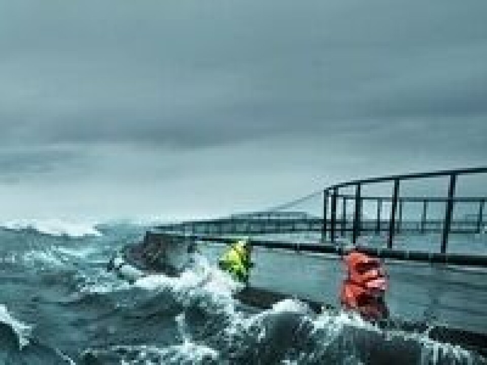 Meteorologisk institutt melder om kraftige vindkast i orkan styrke. Foto: Aqualine.
