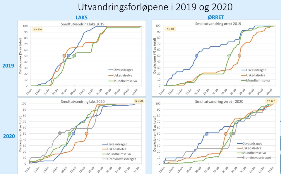 Figur 2. Forskningen har bl.a. avdekket at laksen svømmer ut 2-3 uker tidligere enn det modellene brukt i trafikklysordningen legger til grunn. Dette er en tid da det er mindre lus enn det overvåkningen med bl.a. trål etter villsmolt har vist. Det kan ifølge styringsgruppen til SALT 2020 tyde på at lus har en annen påvirkning på den ville laksesmolten enn det en til i dag har ment. Figurkilde: Rådgivende biologer. Klikk for større bilde.