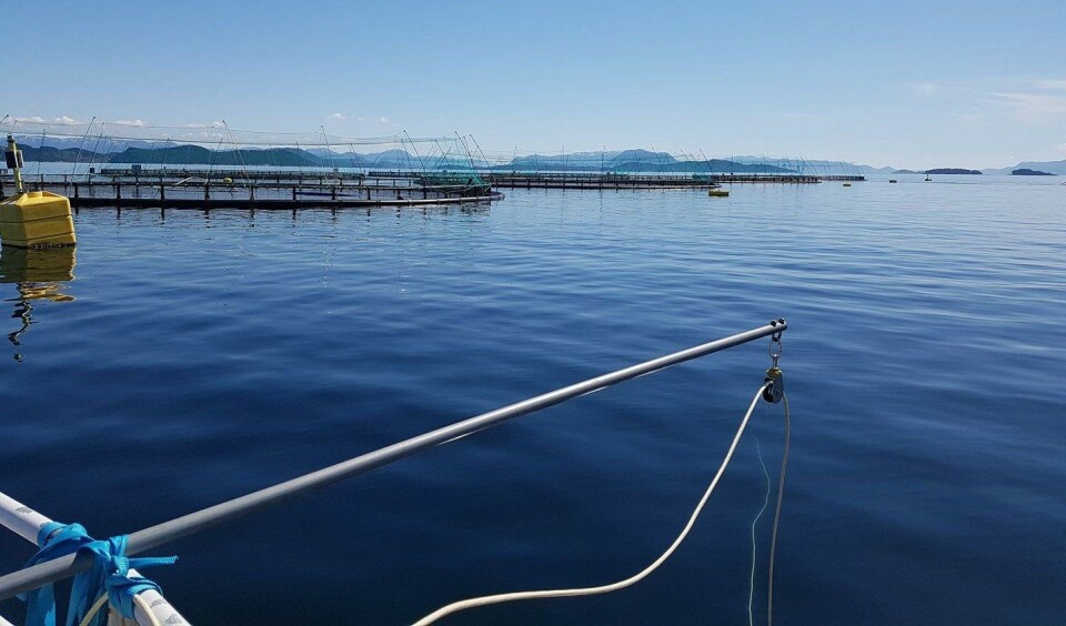 Oktober er over og skriver seg inn i historiebøkene som den travleste måneden for Njord Aqua. Foto: Njord Aqua.