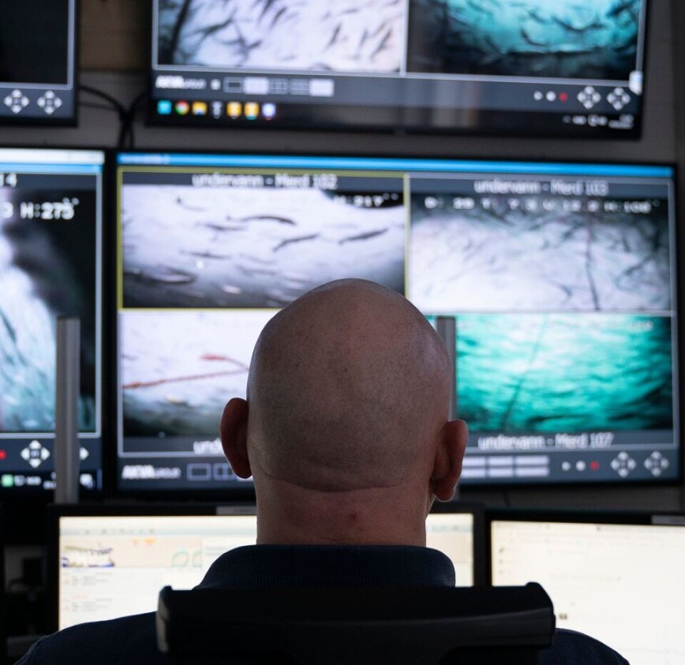 Illustrasjon fra Måsøval sin rapport