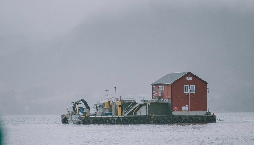 Illustrasjonsfoto av Måsøval hentet fra kvartalsrapport.