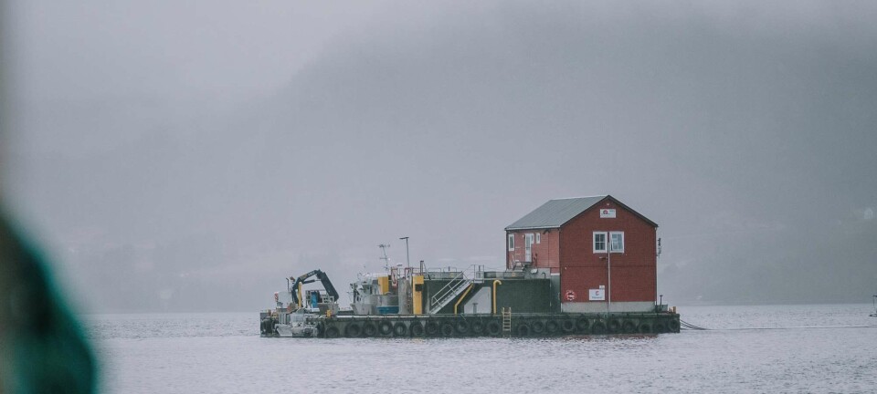 ILA påvist i Frøya kommune
