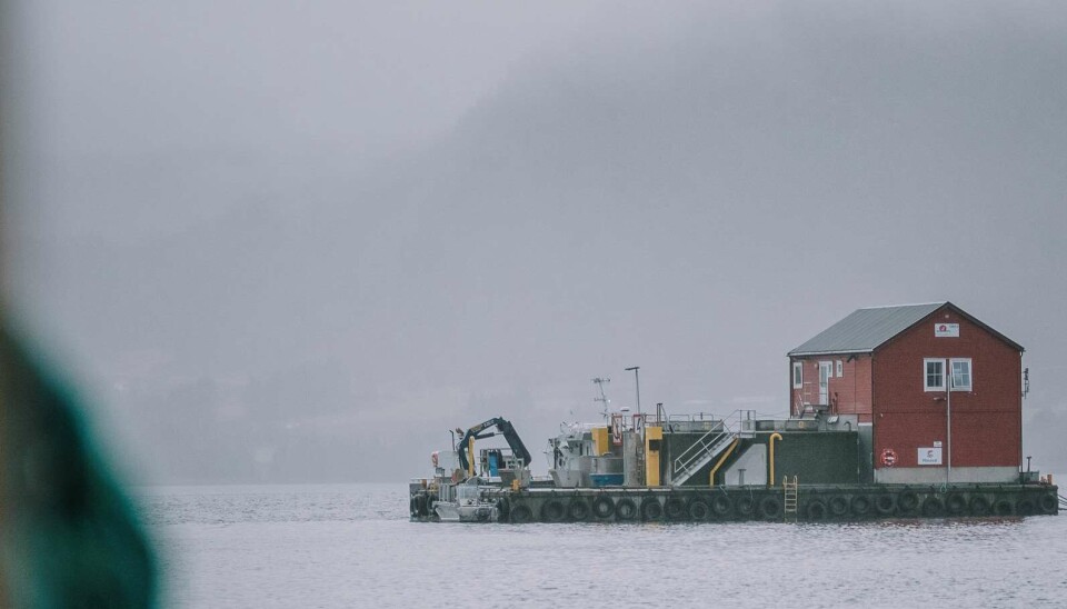 Illustrasjonsfoto av Måsøval hentet fra kvartalsrapport.