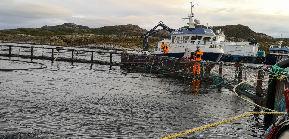 Illustrasjonsbilde av oppdrettsanlegg.