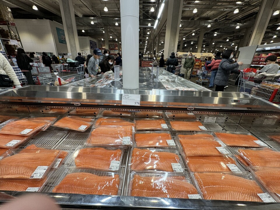 Fiskedisk i et japansk supermarked.