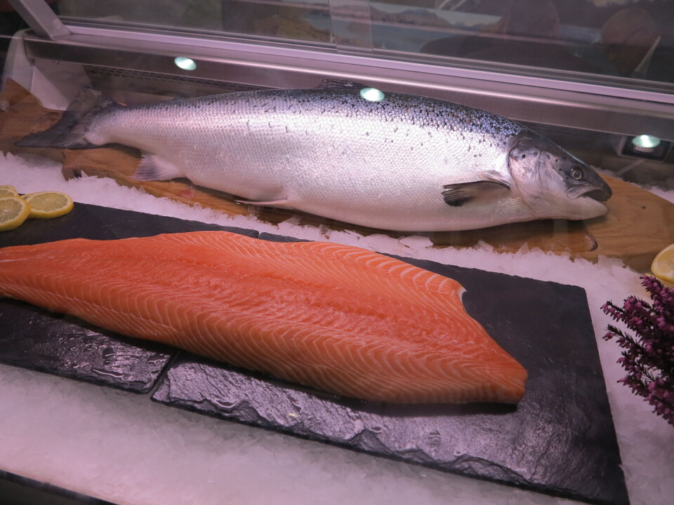 Det ble volumvekst for laks, ørret og oppdrettstorsk i februar. Laks og laksefilet.