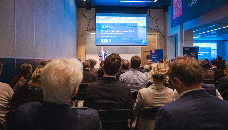 Det var godt oppmøte blant publikum da de elleve selskapene pitchet under NASF, tirsdag.
