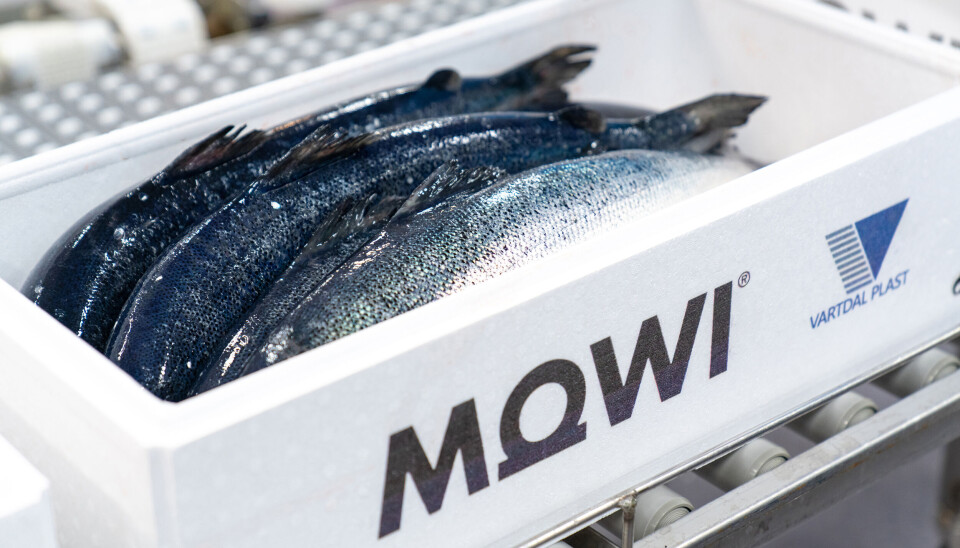 Mowi og Vartdal Plast vil eliminere avrenning